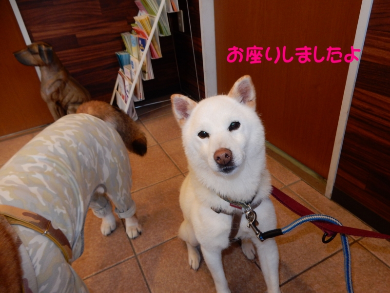 f:id:miyuki1967:20150427101257j:image:w450