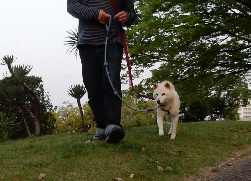 f:id:miyuki1967:20150427101842j:image:w450