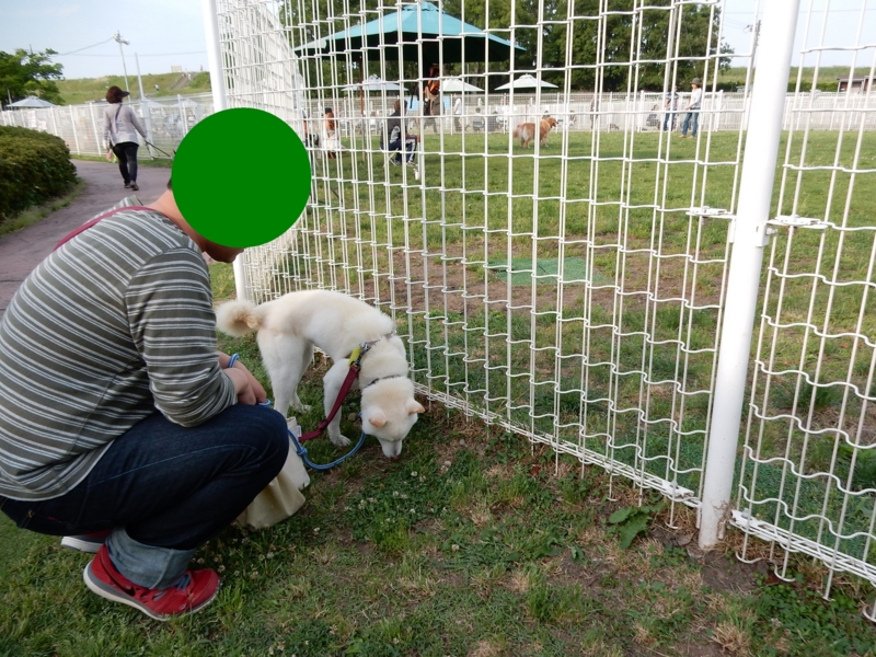 f:id:miyuki1967:20150520102340j:image:w450