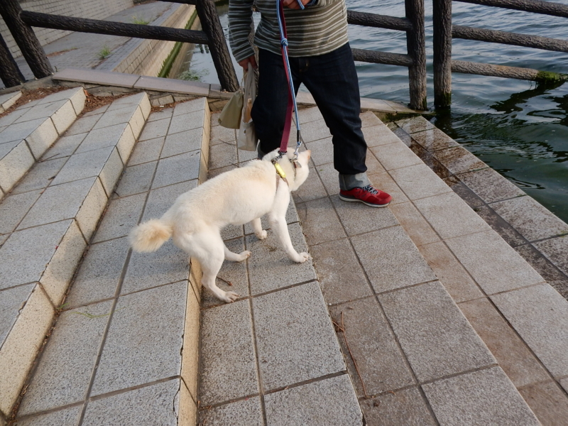 f:id:miyuki1967:20150520102740j:image:w450