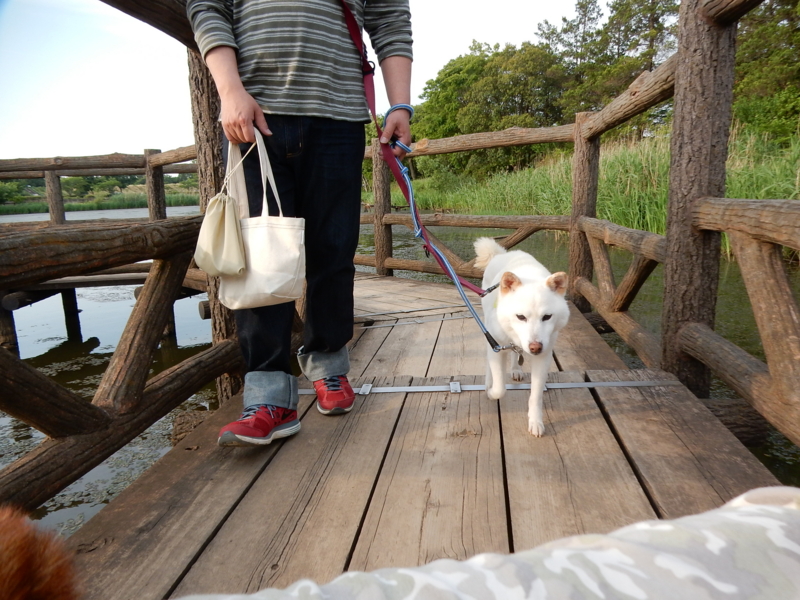 f:id:miyuki1967:20150520103048j:image:w450