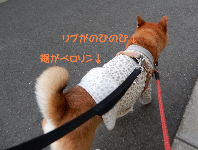 f:id:miyuki1967:20150610103005j:image:w450