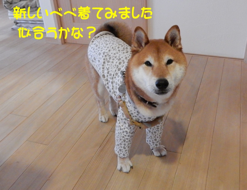 f:id:miyuki1967:20150610103011j:image:w450