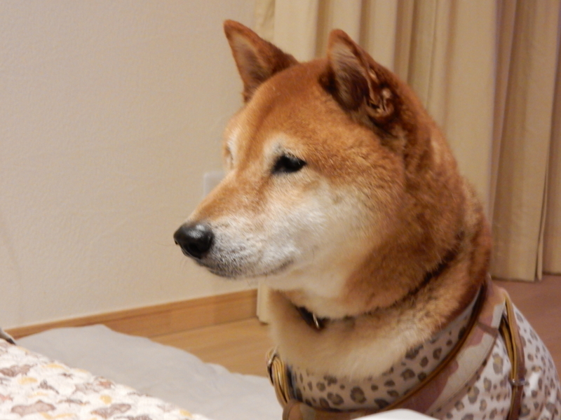 f:id:miyuki1967:20150611092109j:image:w450 f:id:miyuki1967:20150611092109j:image:w450