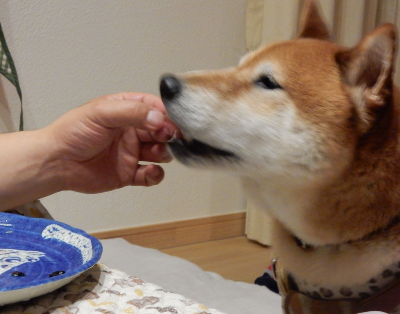 f:id:miyuki1967:20150611092317j:image:w450 f:id:miyuki1967:20150611092317j:image:w450