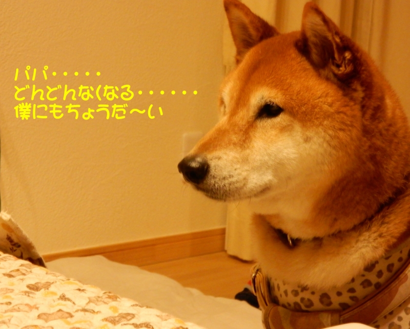 f:id:miyuki1967:20150611094651j:image:w450 f:id:miyuki1967:20150611094651j:image:w450