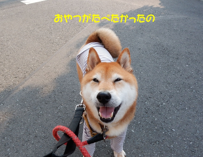 f:id:miyuki1967:20150616112836j:image f:id:miyuki1967:20150616112836j:image