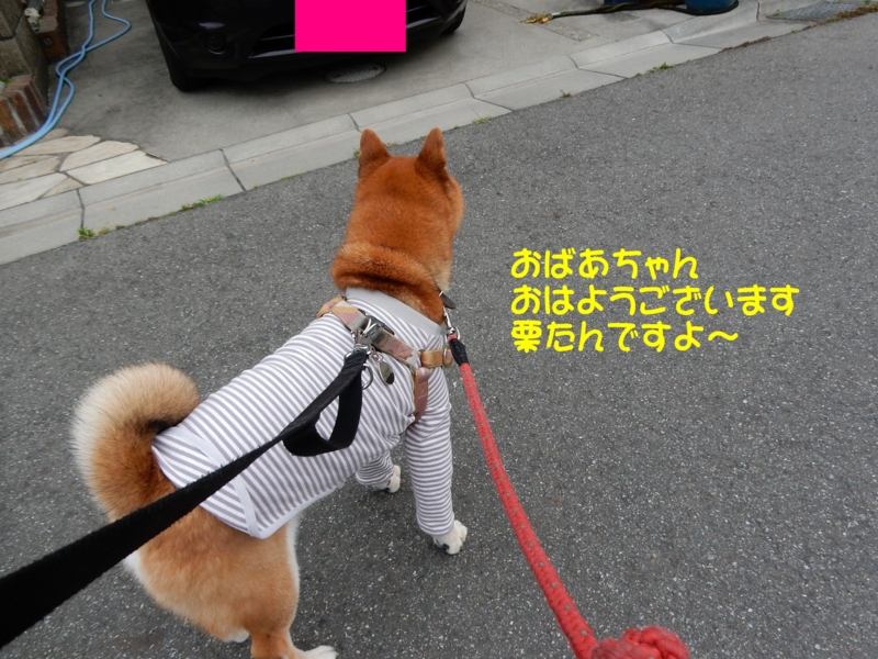 f:id:miyuki1967:20150617103757j:image:w450