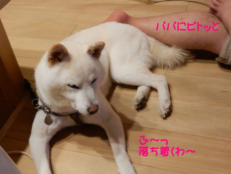 f:id:miyuki1967:20150618100359j:image:w450 f:id:miyuki1967:20150618100359j:image:w450