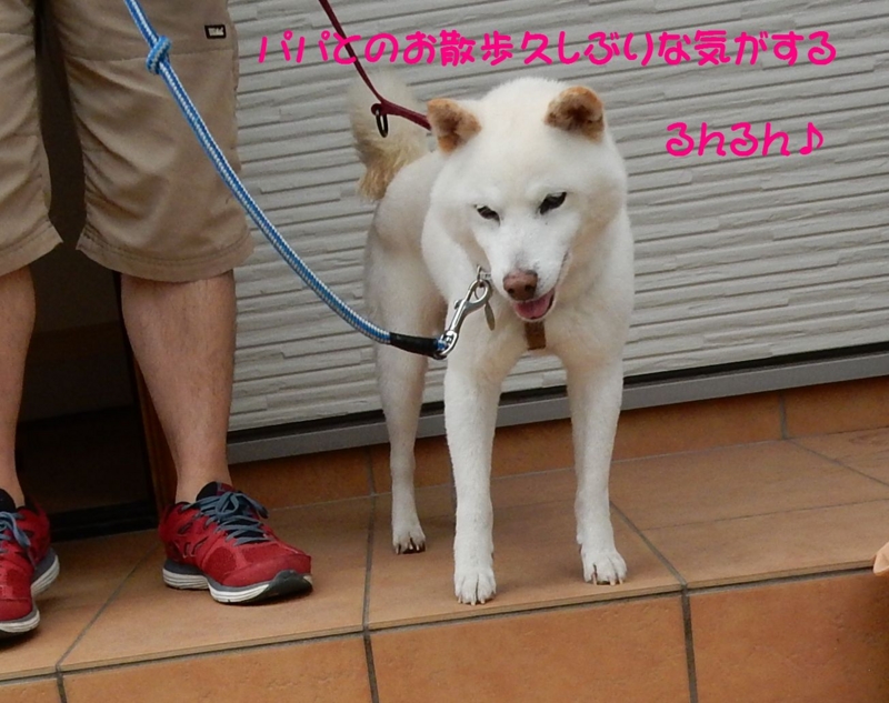 f:id:miyuki1967:20150618102140j:image:w450 f:id:miyuki1967:20150618102140j:image:w450