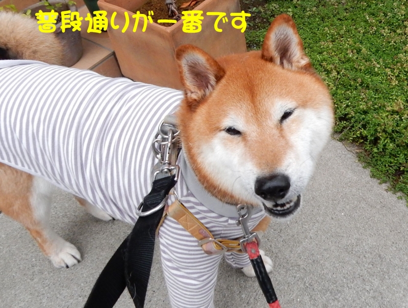 f:id:miyuki1967:20150618102224j:image:w450 f:id:miyuki1967:20150618102224j:image:w450