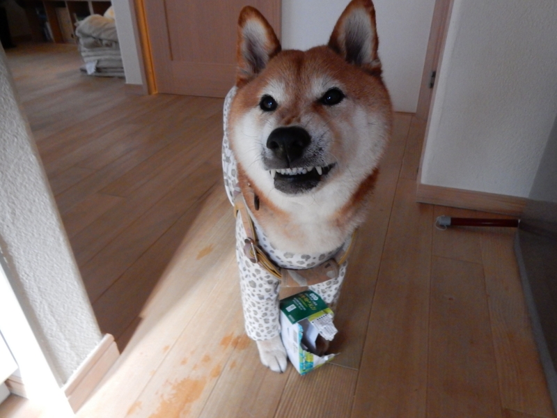 f:id:miyuki1967:20150626110530j:image:w450 f:id:miyuki1967:20150626110530j:image:w450