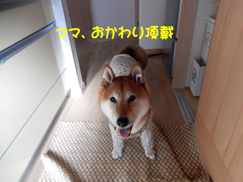 f:id:miyuki1967:20150626111206j:image:w450 f:id:miyuki1967:20150626111206j:image:w450