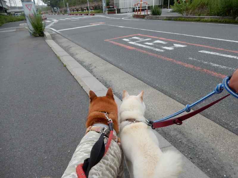 f:id:miyuki1967:20150708112610j:image:w450