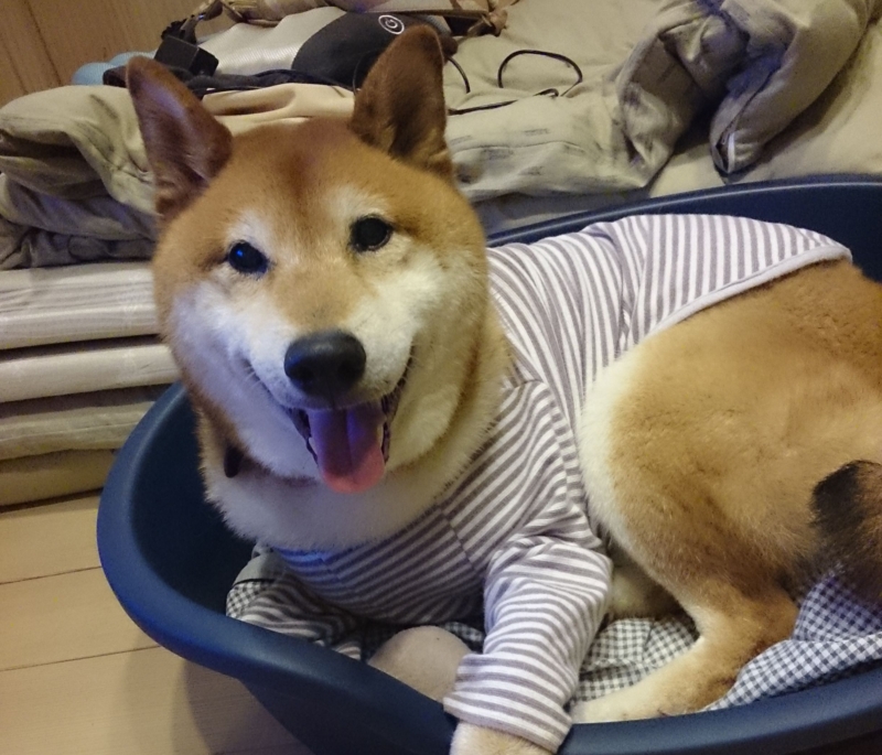 f:id:miyuki1967:20150715113520j:image:w450