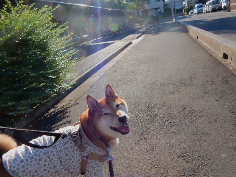 f:id:miyuki1967:20150722111726j:image:w450