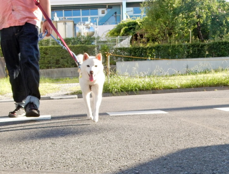 f:id:miyuki1967:20150722111736j:image:w450