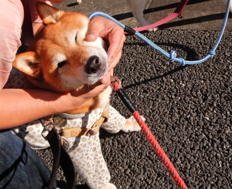 f:id:miyuki1967:20150722112451j:image:w450