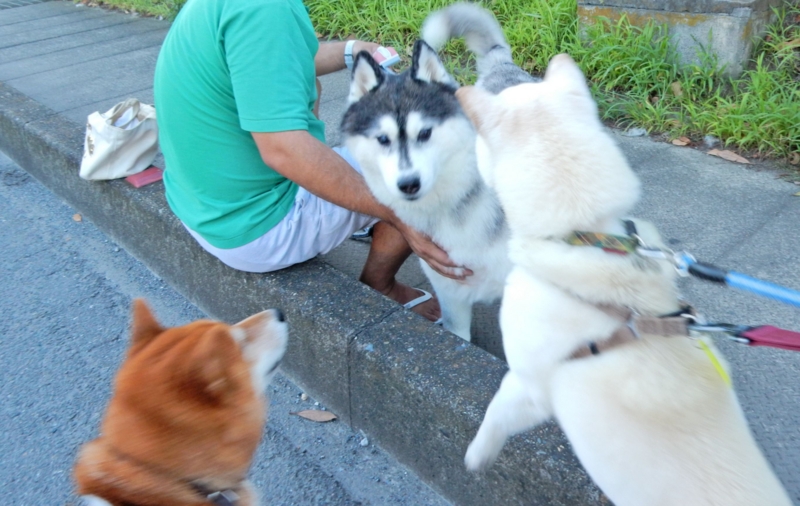 f:id:miyuki1967:20150722112829j:image:w450