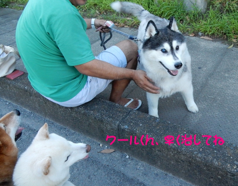 f:id:miyuki1967:20150722113139j:image:w450