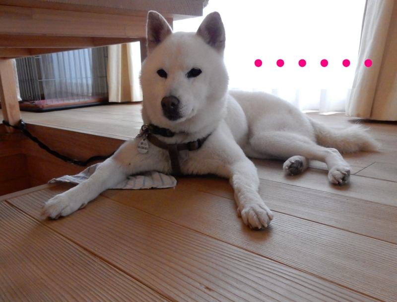 f:id:miyuki1967:20150730112207j:image