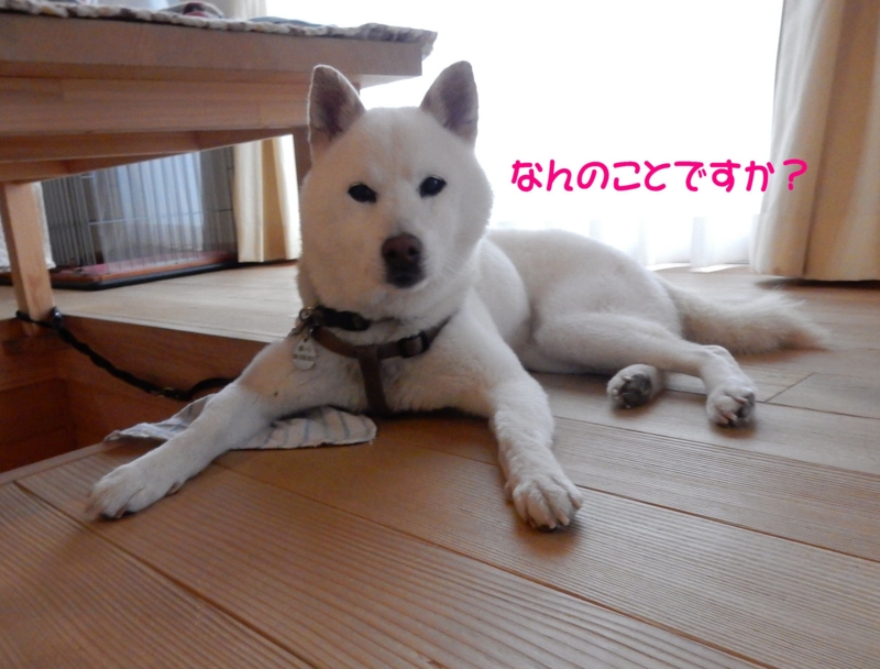 f:id:miyuki1967:20150730112220j:image