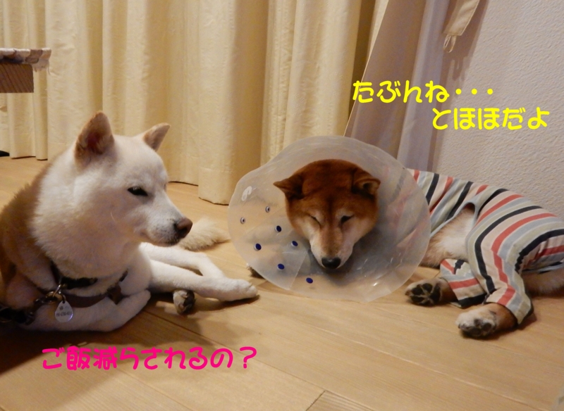 f:id:miyuki1967:20150730113312j:image