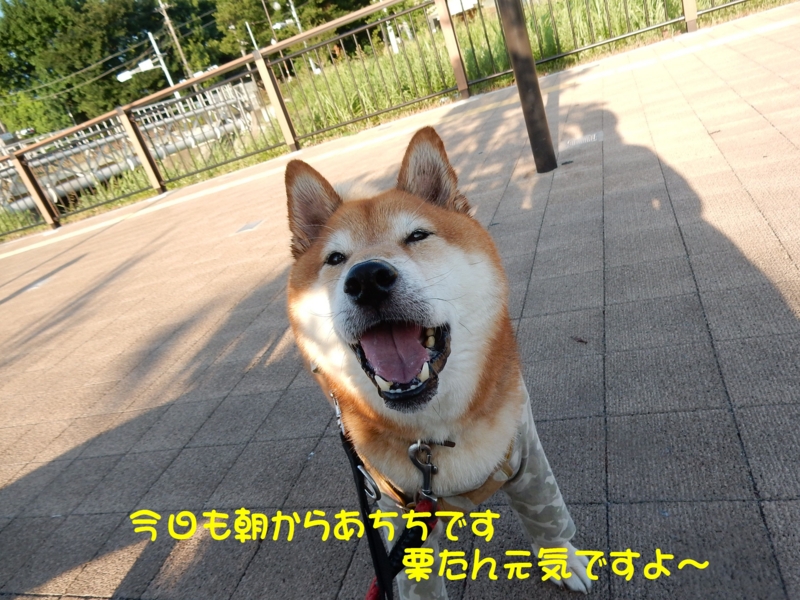 f:id:miyuki1967:20150806095746j:image:w450