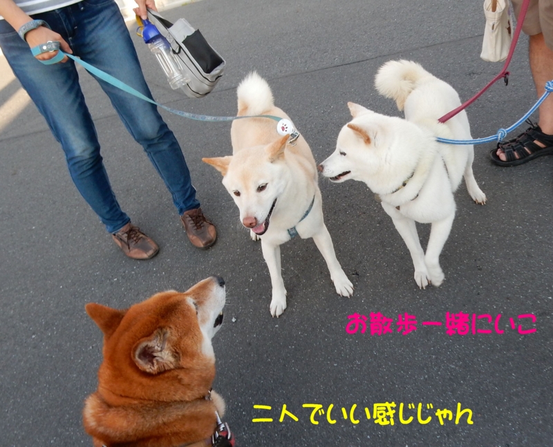 f:id:miyuki1967:20150806100911j:image:w450