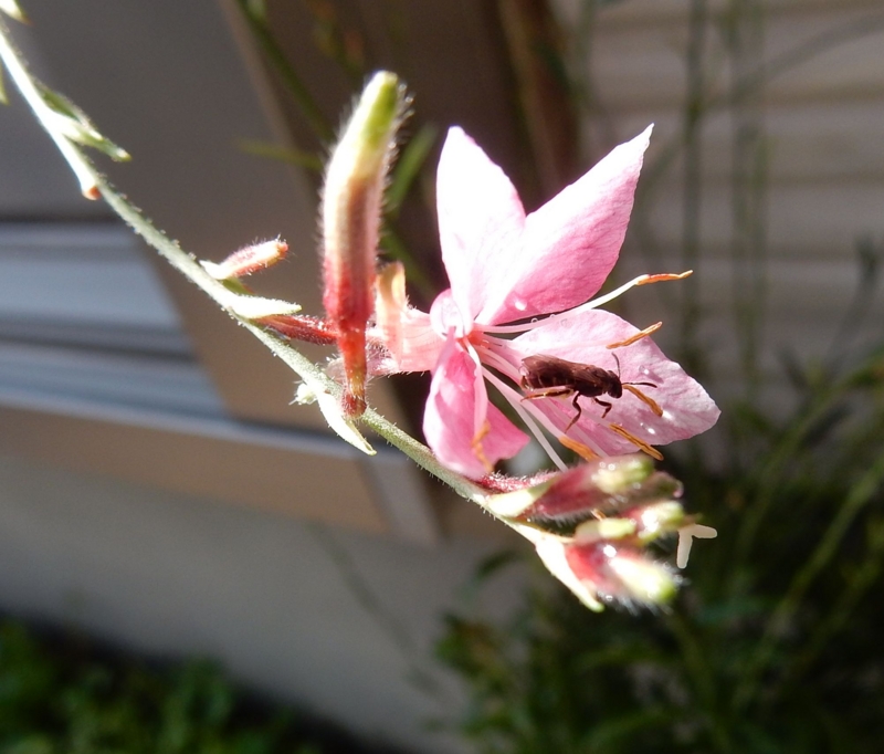 f:id:miyuki1967:20150806104950j:image:w450