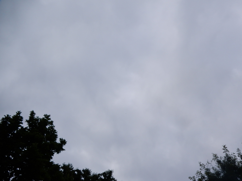 f:id:miyuki1967:20150820104505j:image:w450 f:id:miyuki1967:20150820104505j:image:w450