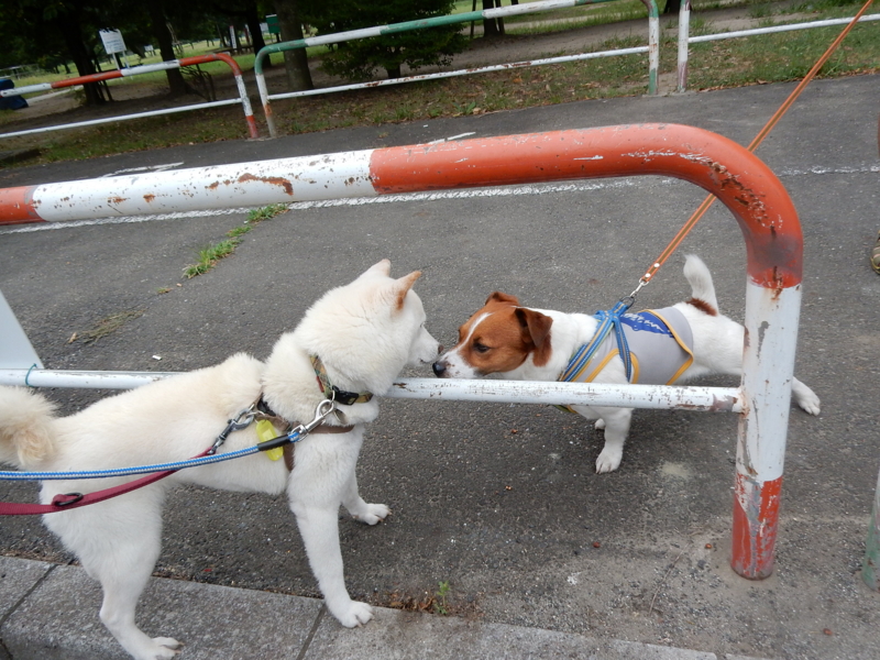 f:id:miyuki1967:20150820104716j:image:w450 f:id:miyuki1967:20150820104716j:image:w450