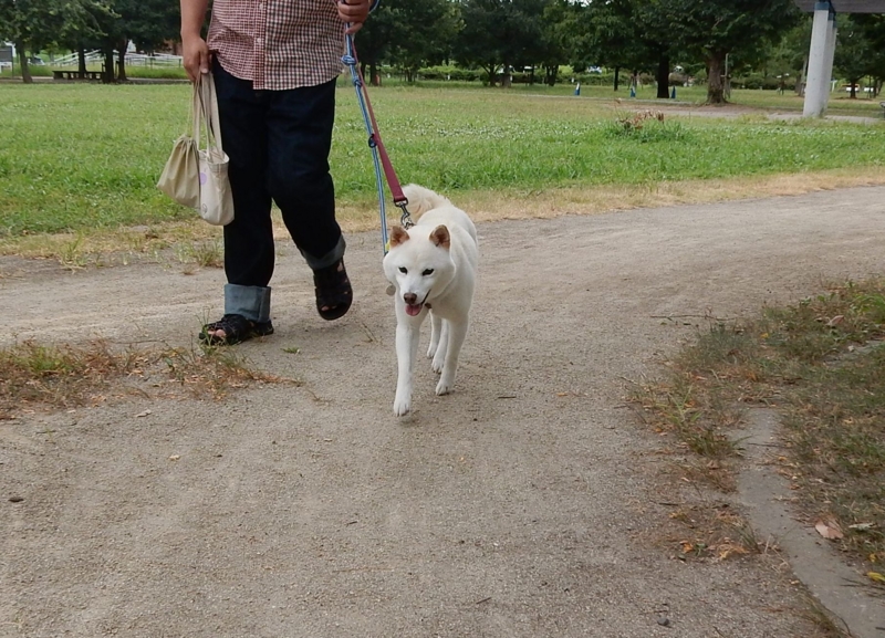 f:id:miyuki1967:20150820104802j:image:w450 f:id:miyuki1967:20150820104802j:image:w450