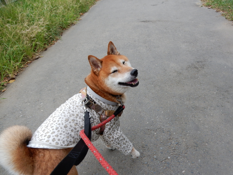 f:id:miyuki1967:20150820104820j:image:w450 f:id:miyuki1967:20150820104820j:image:w450