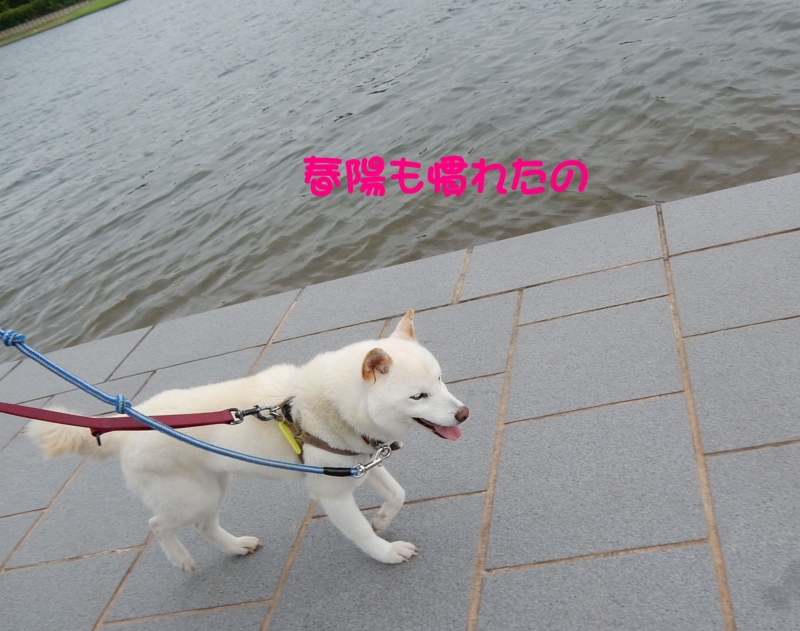 f:id:miyuki1967:20150820105818j:image:w450 f:id:miyuki1967:20150820105818j:image:w450