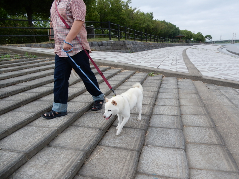 f:id:miyuki1967:20150820110007j:image:w450 f:id:miyuki1967:20150820110007j:image:w450