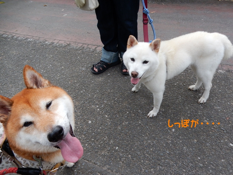 f:id:miyuki1967:20150820120258j:image:w450 f:id:miyuki1967:20150820120258j:image:w450