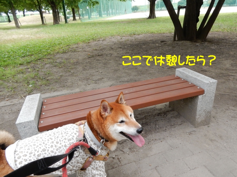 f:id:miyuki1967:20150820120318j:image:w450 f:id:miyuki1967:20150820120318j:image:w450