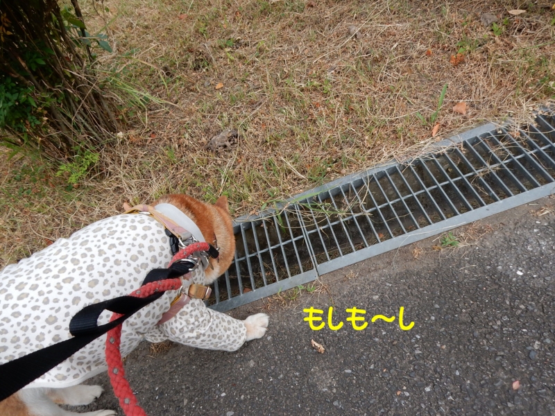 f:id:miyuki1967:20150820120330j:image:w450 f:id:miyuki1967:20150820120330j:image:w450