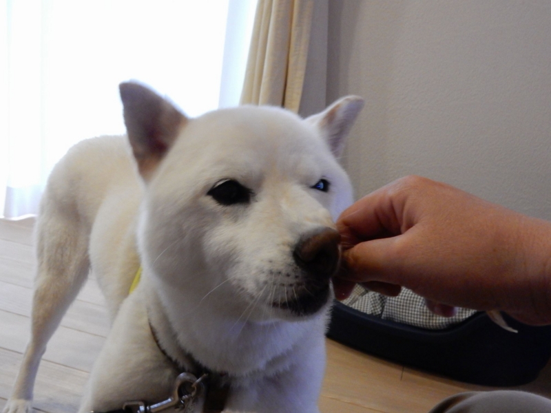 f:id:miyuki1967:20150824111147j:image:w450