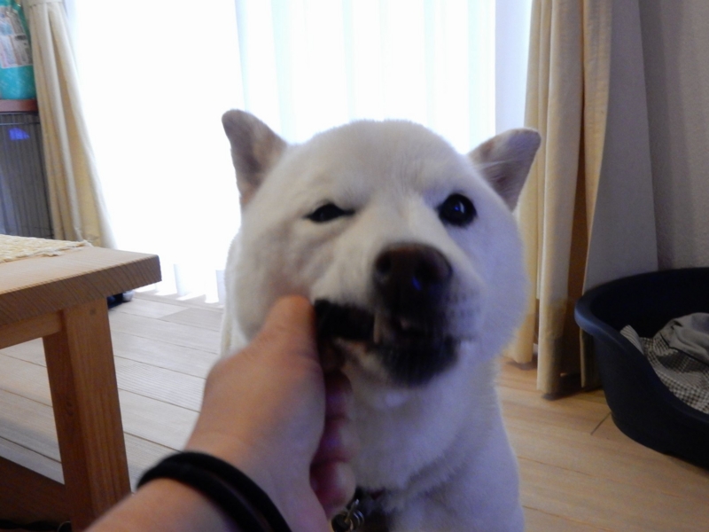 f:id:miyuki1967:20150824111157j:image:w450