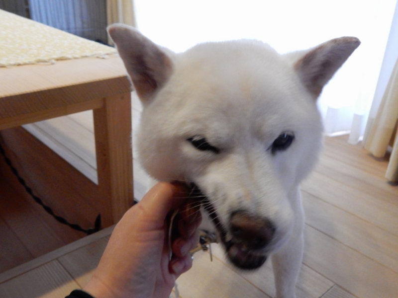 f:id:miyuki1967:20150824111204j:image:w450