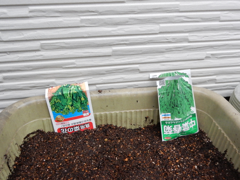 f:id:miyuki1967:20150902112502j:image:w450