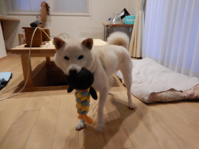 f:id:miyuki1967:20150903105126j:image:w450 f:id:miyuki1967:20150903105126j:image:w450