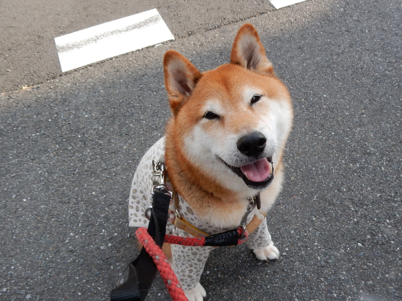 f:id:miyuki1967:20150915103917j:image:w450 f:id:miyuki1967:20150915103917j:image:w450