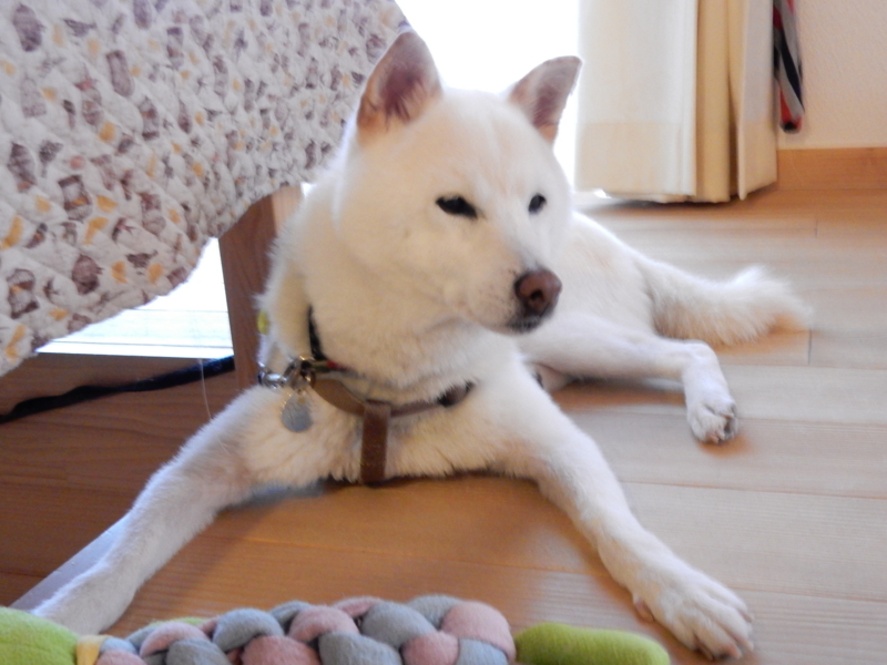 f:id:miyuki1967:20151008112405j:image:w450