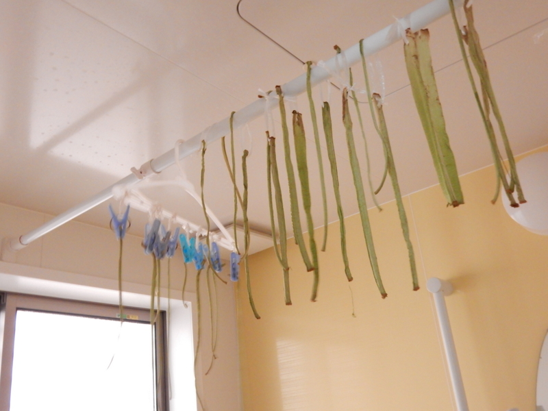 f:id:miyuki1967:20151117110406j:image:w450