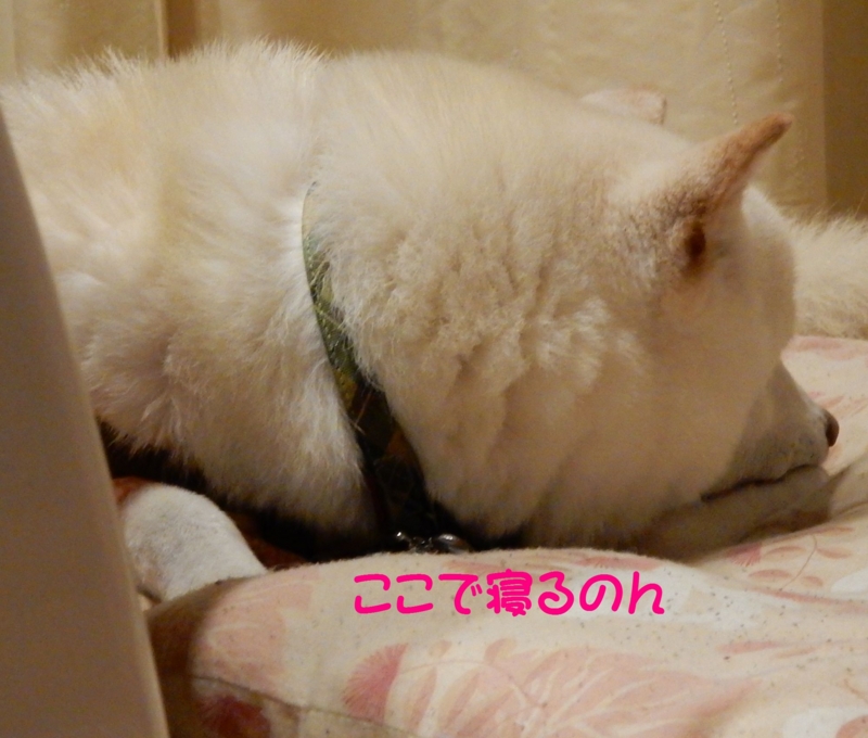 f:id:miyuki1967:20151118101536j:image:w450 f:id:miyuki1967:20151118101536j:image:w450