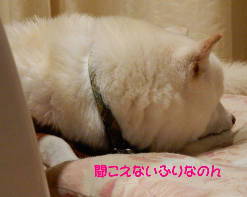 f:id:miyuki1967:20151118101639j:image:w450 f:id:miyuki1967:20151118101639j:image:w450