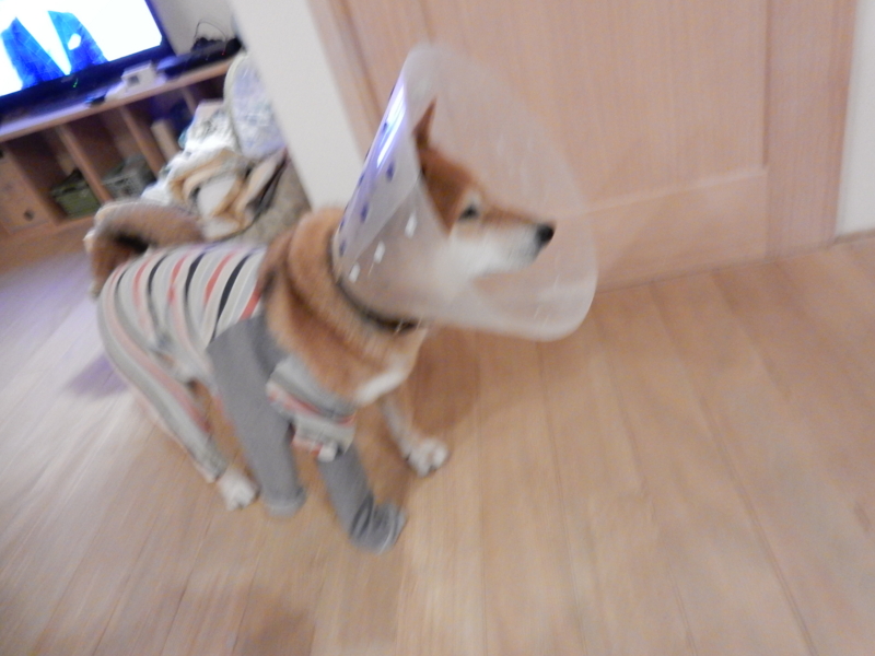 f:id:miyuki1967:20151201111420j:image:w450